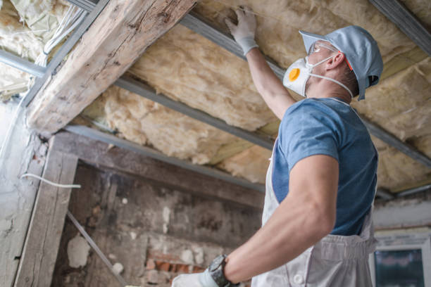 Best Insulation Contractor Near Me  in Payson, UT
