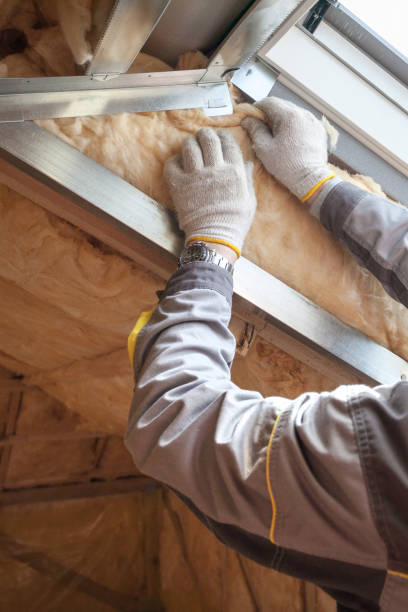 Best Insulation Repair Services  in Payson, UT